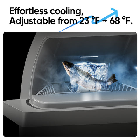 GLACIER Y Trunk Fridge (For Model Y 5 seats)