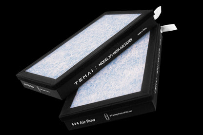 HEPA Carbon Air Filter (2 Pack) -Model 3/Y